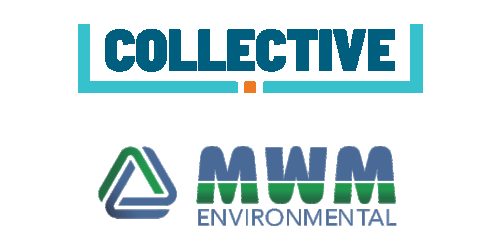 Collective MWM
